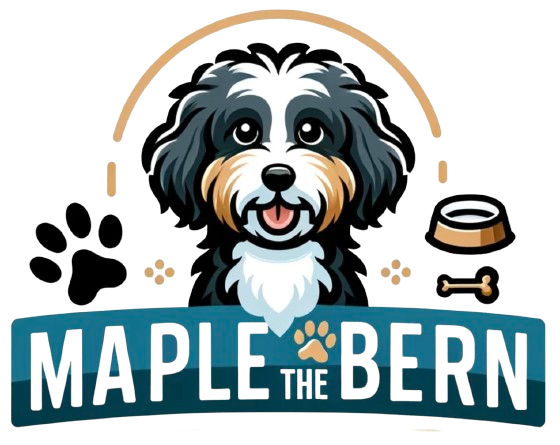 MapleTheBern